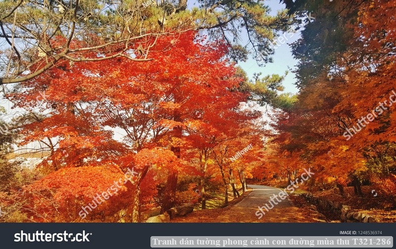 Tranh dán tường phong cảnh con đường mùa thu T321-286